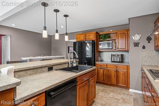 25202 Anchorage Street, Harrison Charter Township, MI 48045