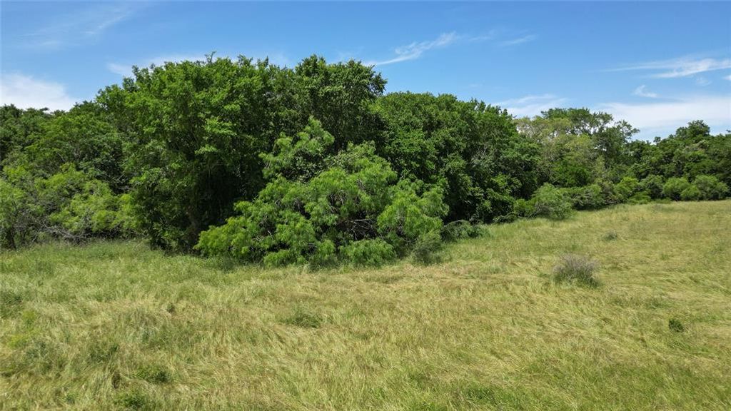 4207 County Road 444, Waelder, TX 78959