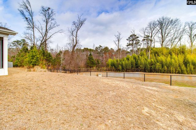 314 Blue Lagoon Lane, Lexington, SC 29072