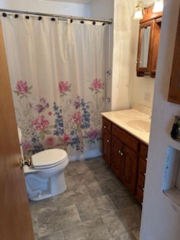 479 DEER LANE, Wabeno, WI 54566