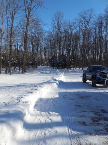 479 DEER LANE, Wabeno, WI 54566