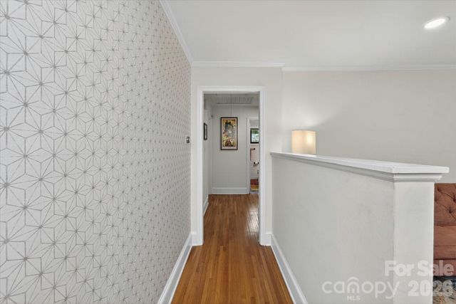 1031 Cutler Place, Charlotte, NC 28205
