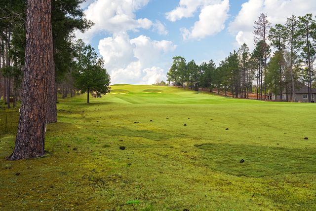 356 Commonwealth Way, Aiken, SC 29803