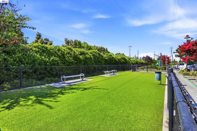 115 Maidenhair Ter, Sunnyvale, CA 94086