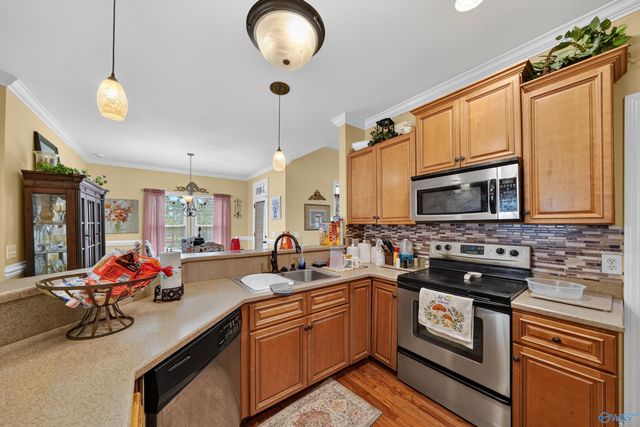 201 Chris Ryan Lane, Toney, AL 35773