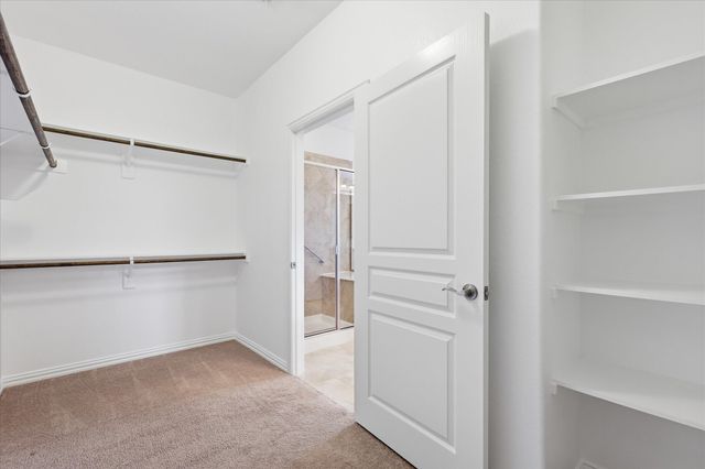 7358 Trull Brook Lane, Frisco, TX 75036