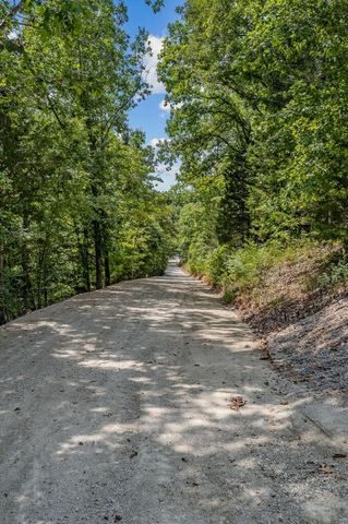 923 Carico Road, Galena, MO 65656