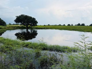 10309 Cr 1, Hallettsville, TX 77964