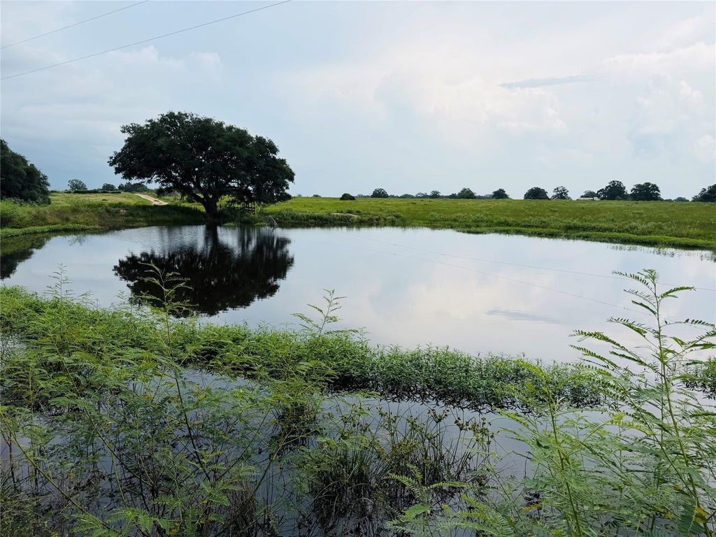 10309 Cr 1, Hallettsville, TX 77964