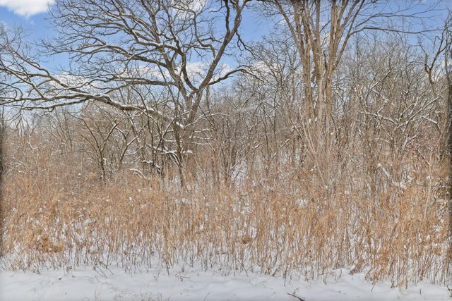 2685 Carver Avenue E, Maplewood, MN 55119