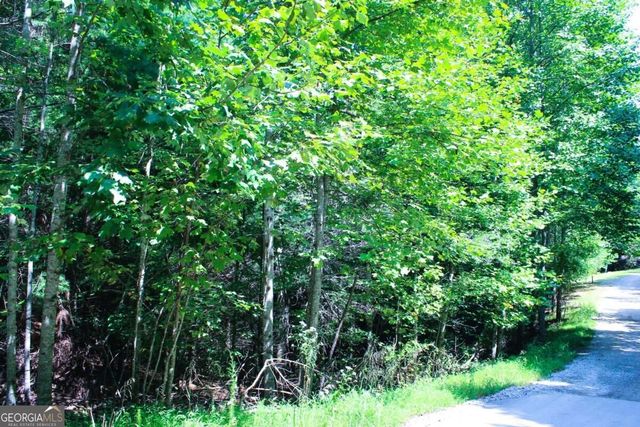 LOT 18 Wilderness Walk, Blairsville, GA 30512