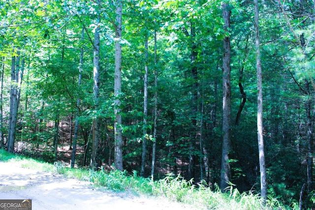 LOT 18 Wilderness Walk, Blairsville, GA 30512