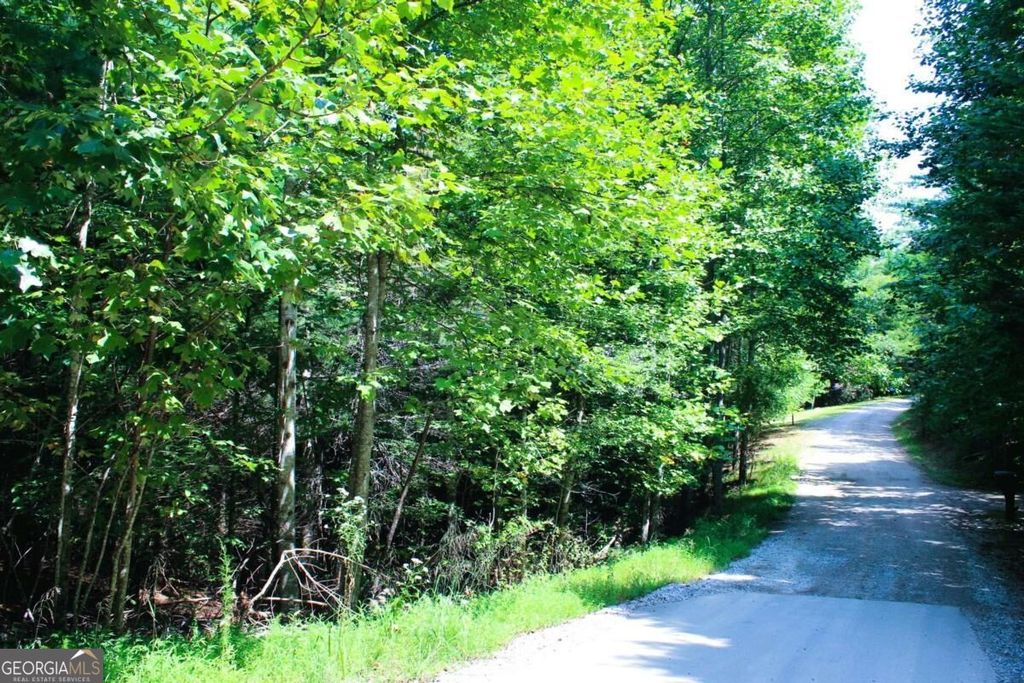 LOT 18 Wilderness Walk, Blairsville, GA 30512