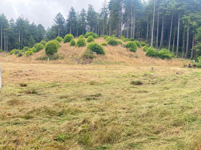 004 Pomeroy Hollow Road, Freshwater, CA 95503