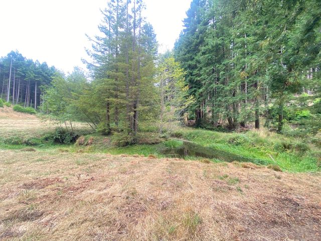 004 Pomeroy Hollow Road, Freshwater, CA 95503