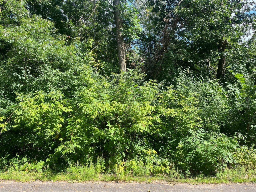 23xxx 182nd Street, Big Lake, MN 55309 — photo 2