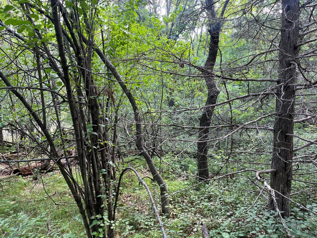 23xxx 182nd Street, Big Lake, MN 55309 — photo 4