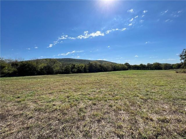 Tract 1 Hwy 170, Farmington, AR 72730
