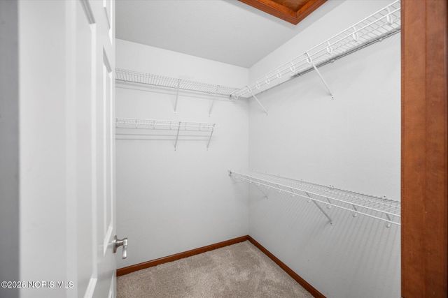 6351 Glen Stream, Waterville, OH 43566