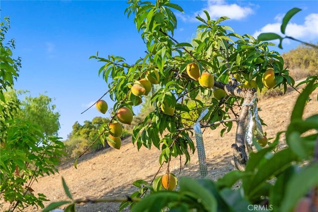 39898 Via Sereno, Murrieta, CA 92562