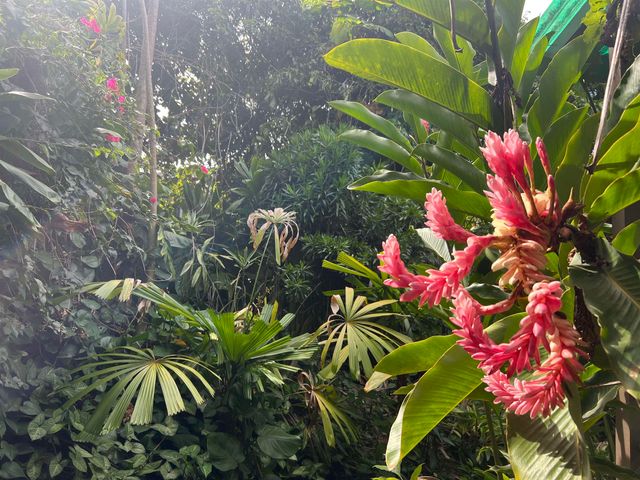 59 Door Of Faith Rd, Haiku, HI 96708