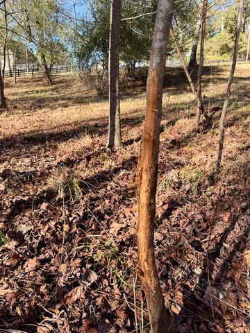 4724 Canterbury Lane, Evans, GA 30809