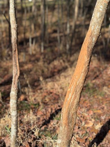 4724 Canterbury Lane, Evans, GA 30809