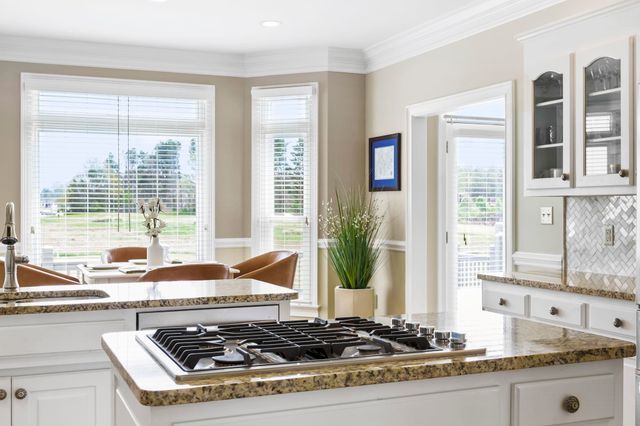 132 Indigo Court, Greer, SC 29651