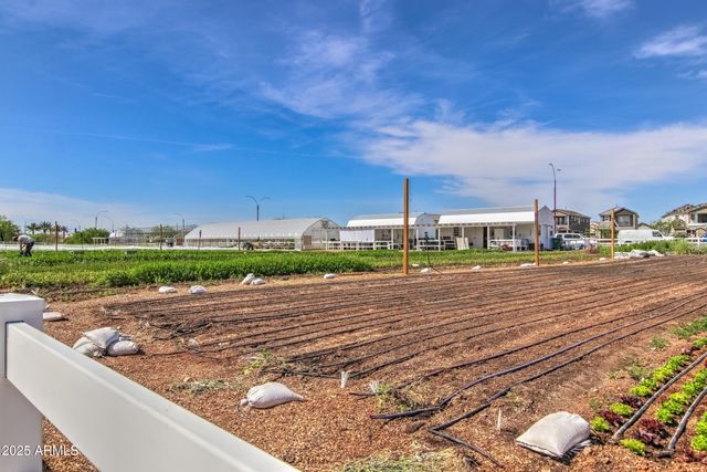 4431 S BENTON Lane, Mesa, AZ 85212