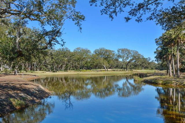1355 Dunlin Court, Kiawah Island, SC 29455