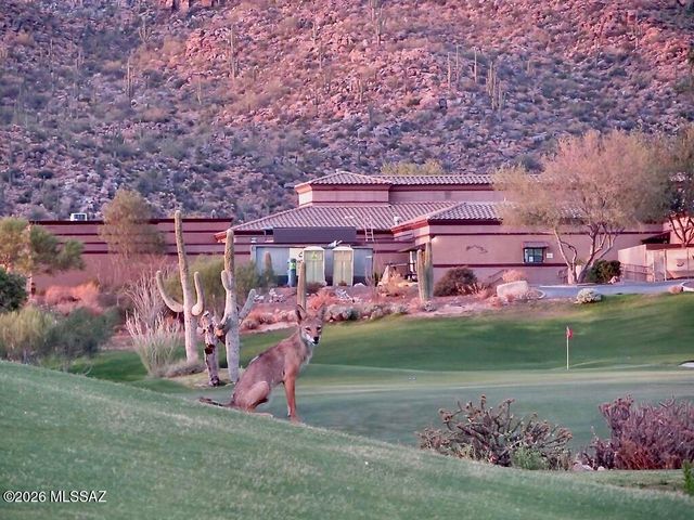 13674 N Nightstar Court, Marana, AZ 85658