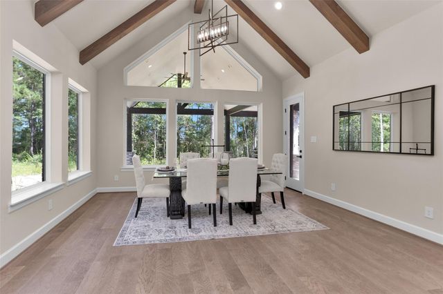 8604 Trinity Pines Court, Montgomery, TX 77316