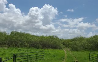 4630 S HWY 77 Hwy, Kingsville, TX 78363