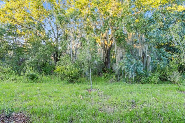 32859 PEZ LANDING LANE, Wesley Chapel, FL 33543