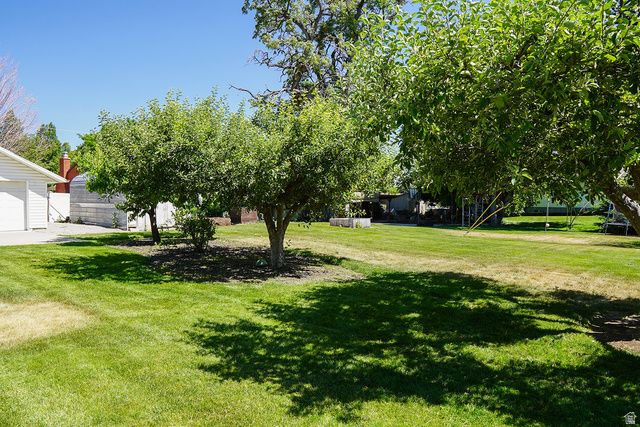 896 N 290 E, American Fork, UT 84003