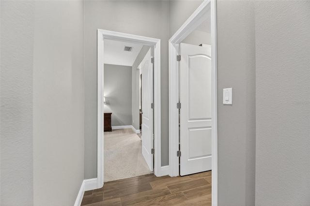 14121 CARISSA MEADOWS COURT, Riverview, FL 33569