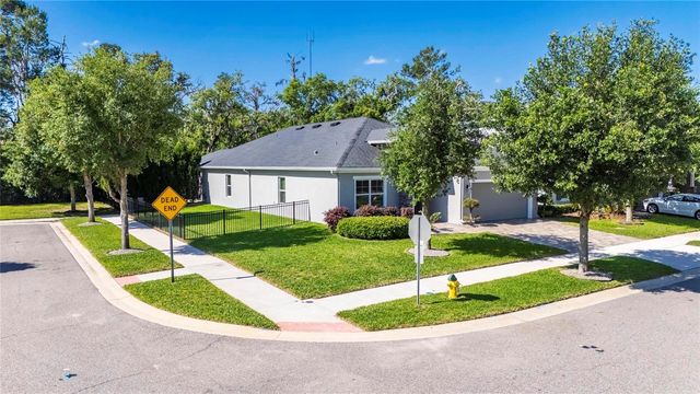 14121 CARISSA MEADOWS COURT, Riverview, FL 33569