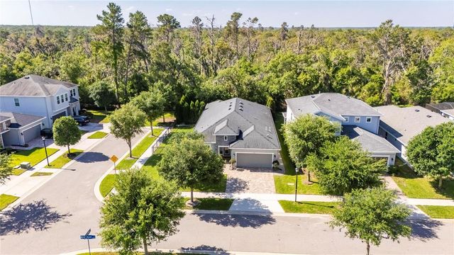 14121 CARISSA MEADOWS COURT, Riverview, FL 33569