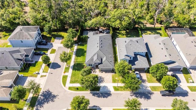 14121 CARISSA MEADOWS COURT, Riverview, FL 33569