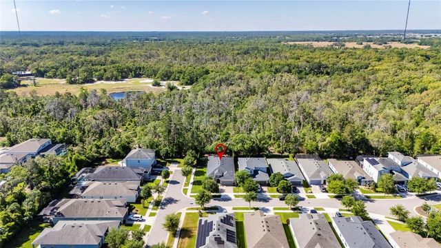 14121 CARISSA MEADOWS COURT, Riverview, FL 33569