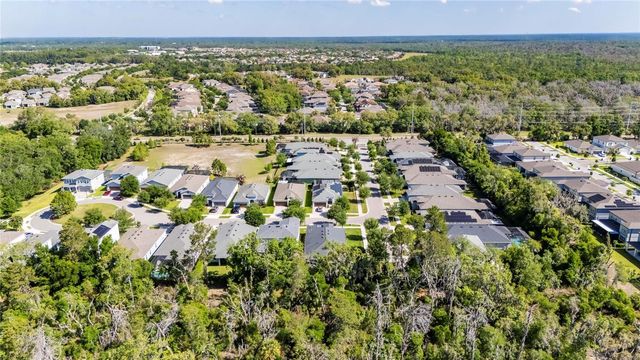 14121 CARISSA MEADOWS COURT, Riverview, FL 33569