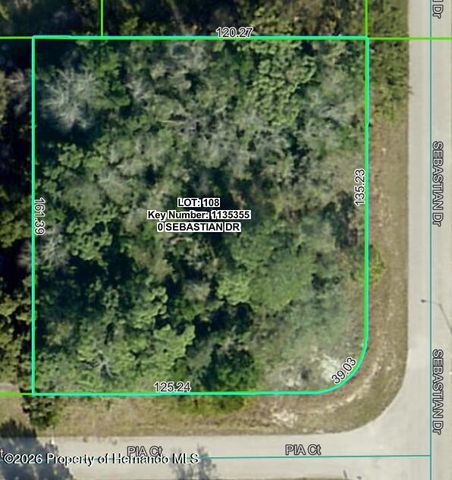 . Sebastian Drive, Spring Hill, FL 34609