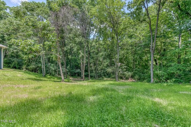 124 Hilo Drive, Johnson City, TN 37604