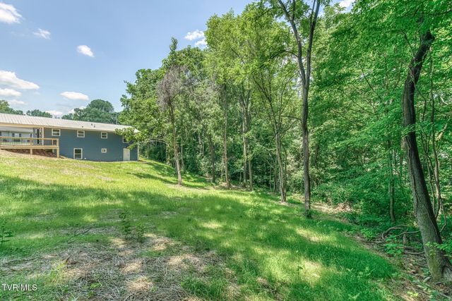 124 Hilo Drive, Johnson City, TN 37604