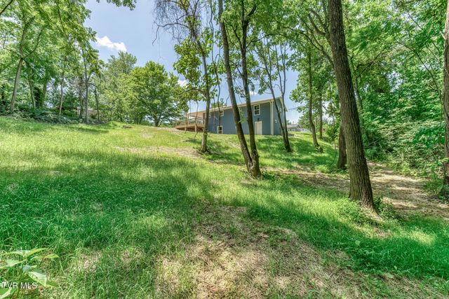 124 Hilo Drive, Johnson City, TN 37604