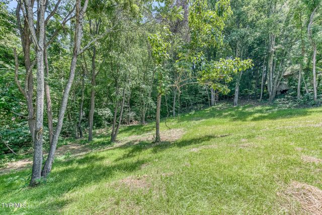 124 Hilo Drive, Johnson City, TN 37604