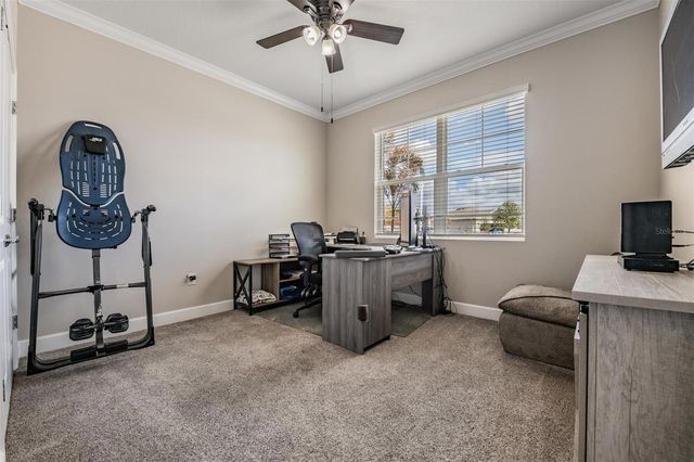 31364 TANSY BEND, Wesley Chapel, FL 33545