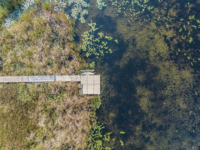 31364 TANSY BEND, Wesley Chapel, FL 33545