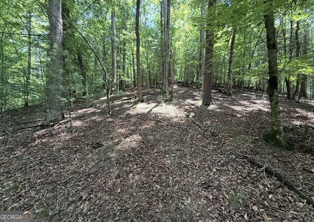 LOT 3469 Fir Lane, Ellijay, GA 30540