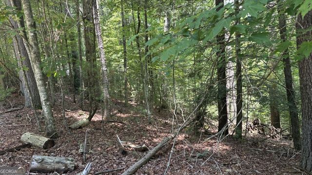 LOT 3469 Fir Lane, Ellijay, GA 30540